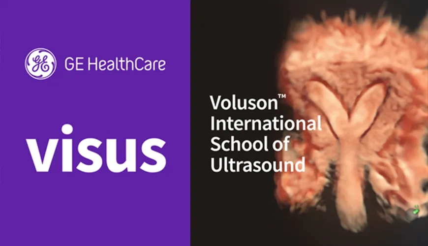VISUS 2026: Focus on Gynecology